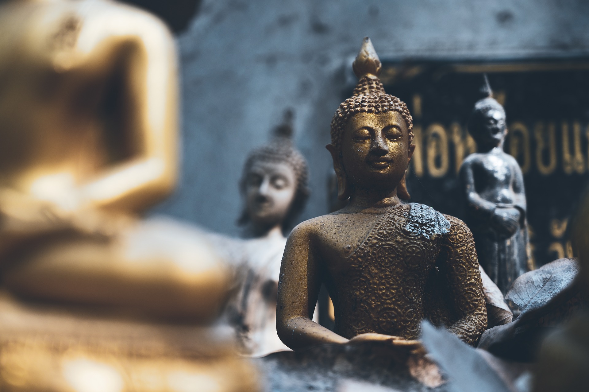 Buddha Statues Meditation